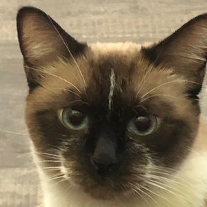 Meet your Posher, William